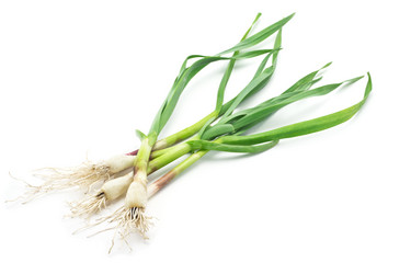 Similar image 2909066