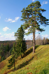 Similar image 2909071