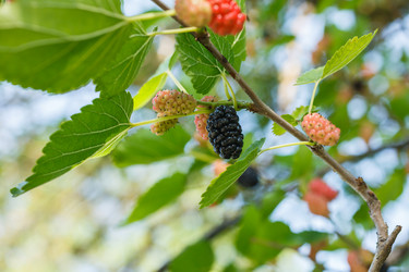 Similar image 2909075