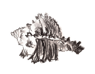 Similar image 2909082