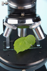 Similar image 2909197