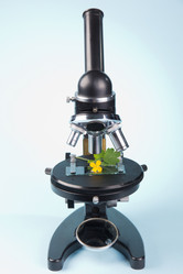 Similar image 2909198