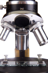 Similar image 2909200