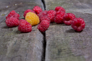 Similar image 2909201