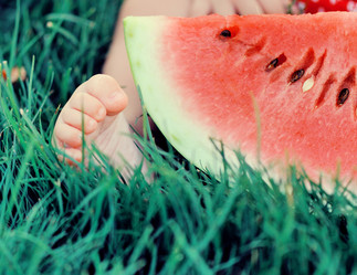 Similar image 2909287