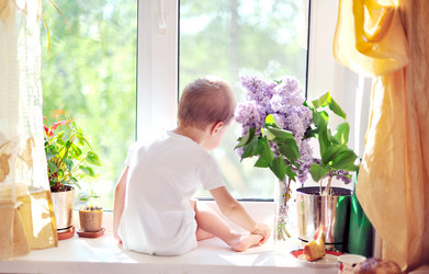 Similar image 2909297