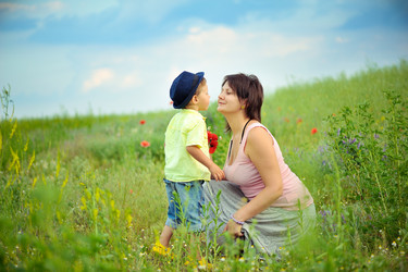 Similar image 2909298