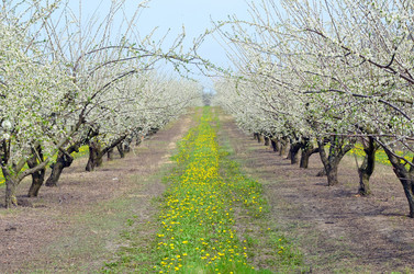 Similar image 2909309