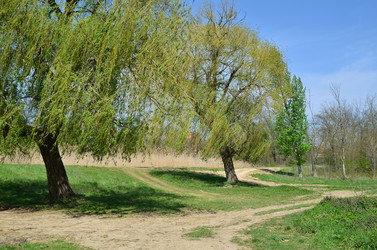 Similar image 2909310