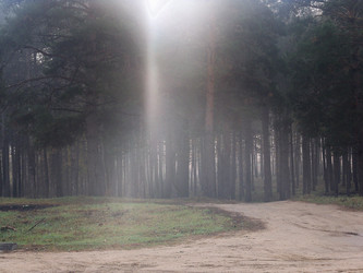 Similar image 2909315