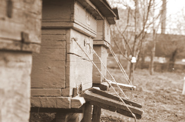 Similar image 2909321