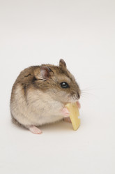 Similar image 2909322