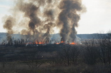 Similar image 2909325