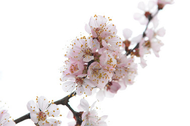 Similar image 2909328