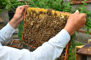 Similar image 2909332