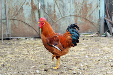 Similar image 2909340