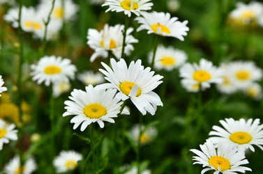 Similar image 2909341