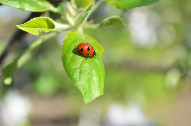 Similar image 2909345