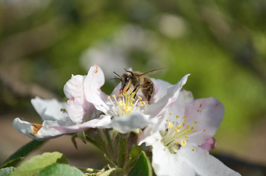 Similar image 2909346