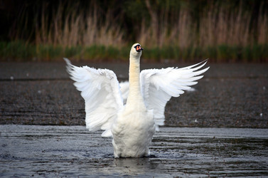 Similar image 2909347