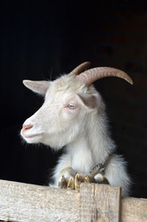 Similar image 2909348