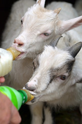 Similar image 2909351