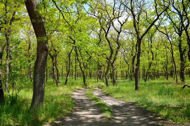 Similar image 2909352