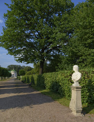 Similar image 2909353