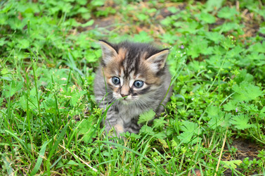 Similar image 2909355