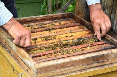 Similar image 2909357