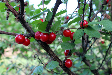 Similar image 2909402