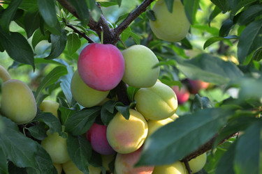 Similar image 2909474