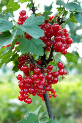 Similar image 2909490