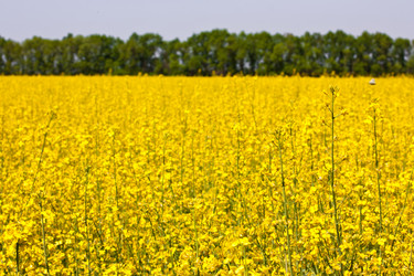 Similar image 2909551