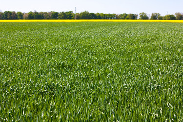 Similar image 2909555