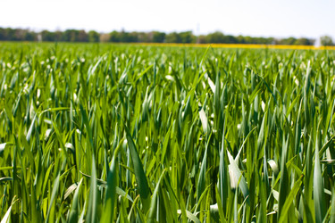 Similar image 2909556