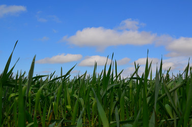 Similar image 2909599