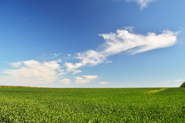 Similar image 2909600