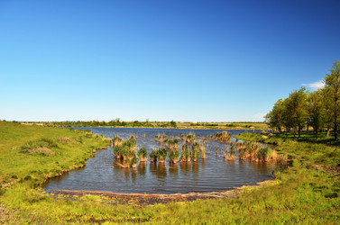 Similar image 2909601