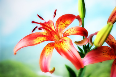 Similar image 2909613