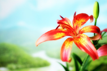 Similar image 2909615