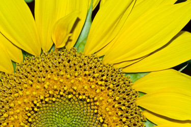 Similar image 2909639