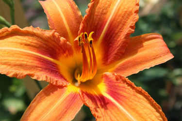 Similar image 2910036