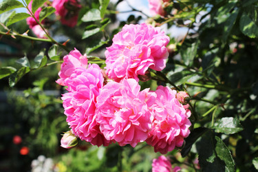 Similar image 2910037