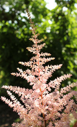 Similar image 2910040