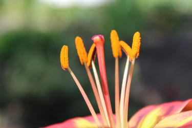 Similar image 2910042