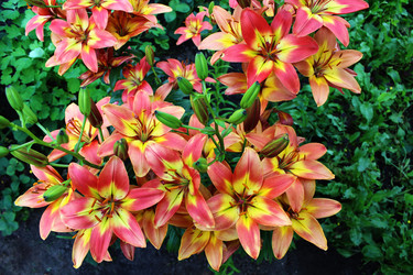 Similar image 2910046