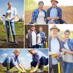 Similar image 2910053