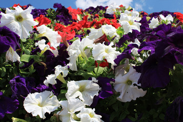 Similar image 2910067