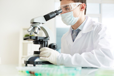 Similar image 2910094